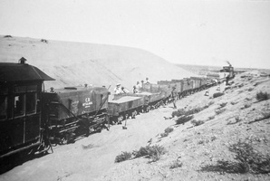 NGS open wagons