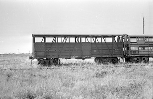12.1971,Port Pirie - cattle van CB242 + part SAR sheep van SS10