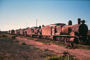 1961,Port Augusta western yard - K class awaiting scrapping