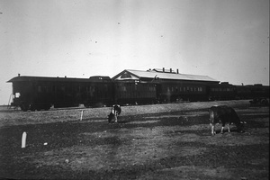 3.1925 - Central Australia Railway Ghan at Oodnadatta Railway Station - the sleeping car is most likely SAR car <em>Nilpena</em>