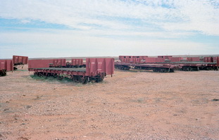 15.5.1981,Marree - part NRE1114 + part NRE1103 + foreground NRE1133 + background NRE1046 + background NRE1025 + other rollingstock